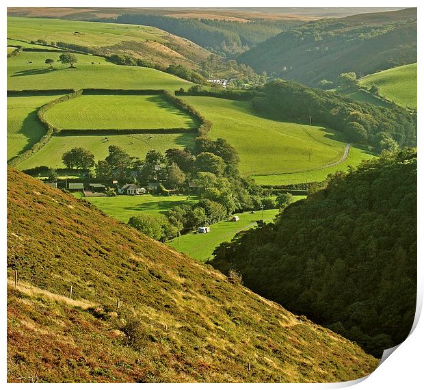 Exmoor Print by graham young