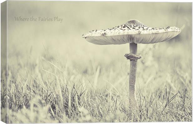 fairy shelter Canvas Print by Dawn Cox