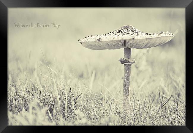 fairy shelter Framed Print by Dawn Cox