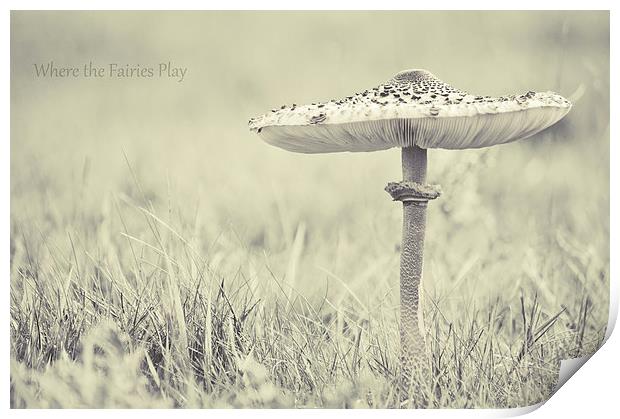fairy shelter Print by Dawn Cox
