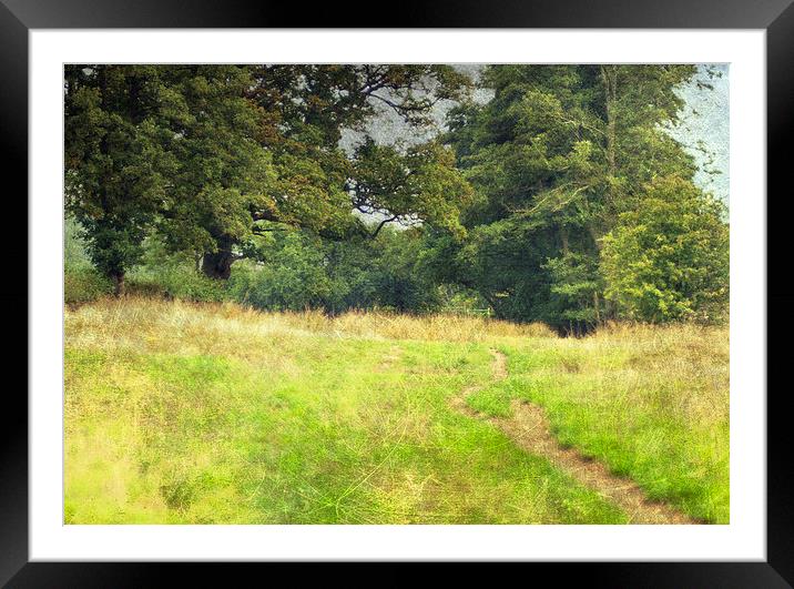 Country Ramble Framed Mounted Print by Dawn Cox