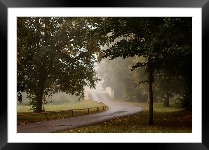 Into The Mist Framed Mounted Print by Samantha Higgs