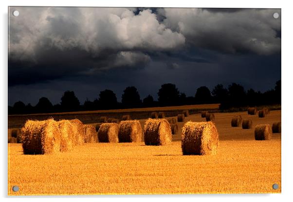 Harvest storm Acrylic by Robert Fielding
