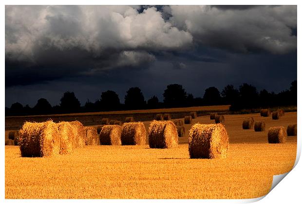 Harvest storm Print by Robert Fielding