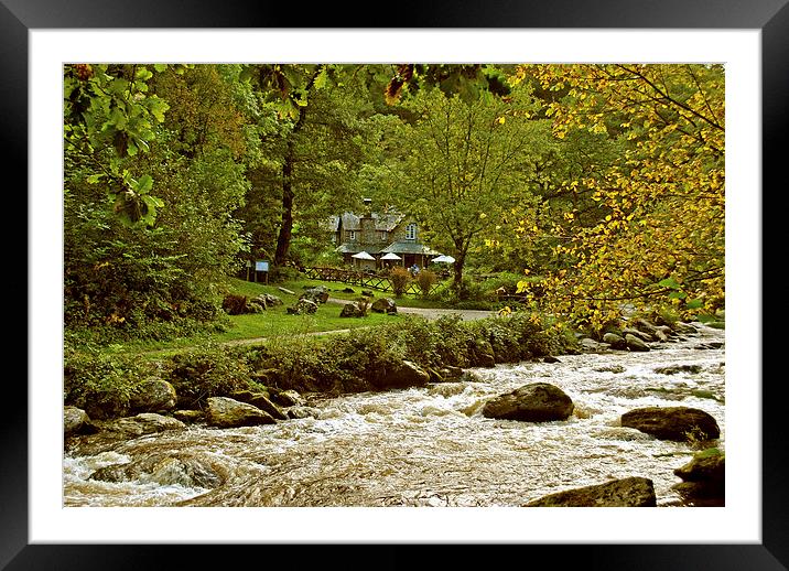 Early Autumn at Watersmeet Framed Mounted Print by graham young