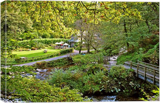 Watersmeet in the Autumn Sunshine Canvas Print by graham young