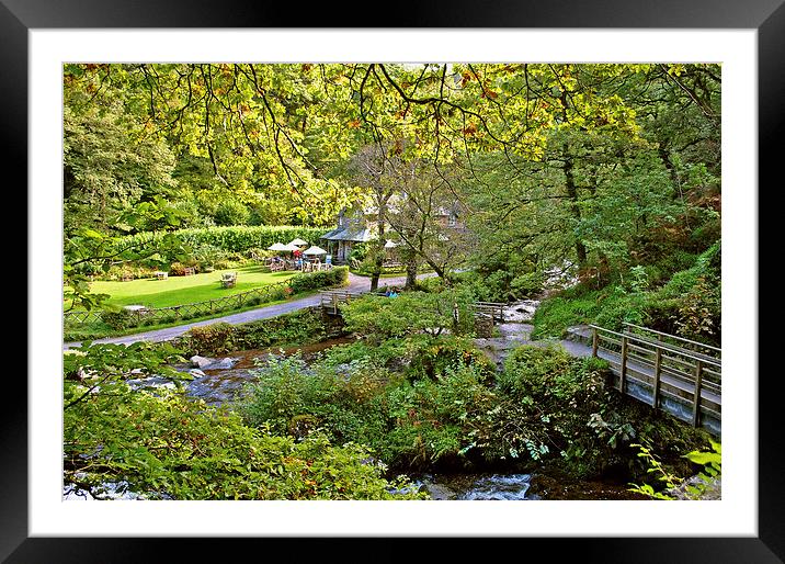 Watersmeet in the Autumn Sunshine Framed Mounted Print by graham young