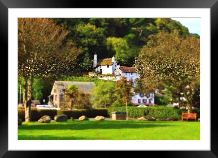 Shelleys Cottage Framed Mounted Print by graham young