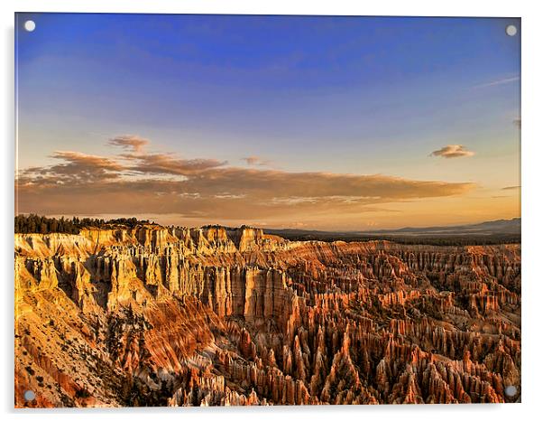Bryce Canyon Sunrise Acrylic by Anne Rodkin