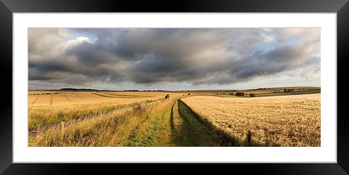 South Downs Way Framed Mounted Print by Malcolm McHugh