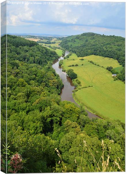 Symonds Yat Forest of Dean Gloucester. Canvas Print by Diana Mower