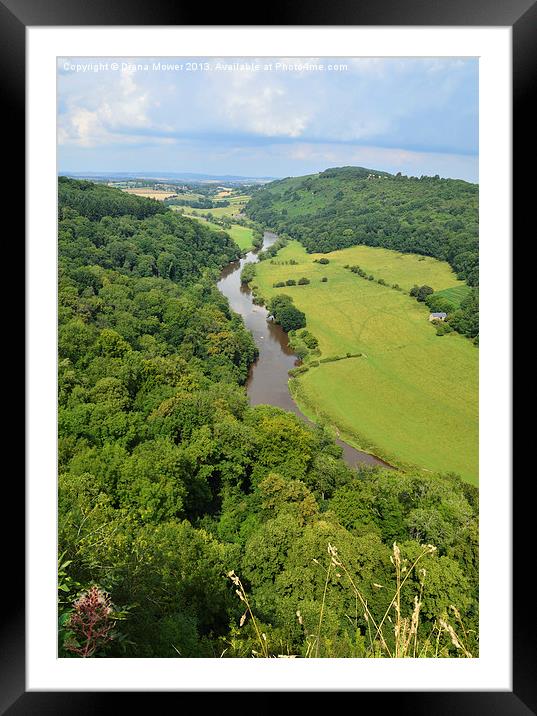 Symonds Yat Forest of Dean Gloucester. Framed Mounted Print by Diana Mower