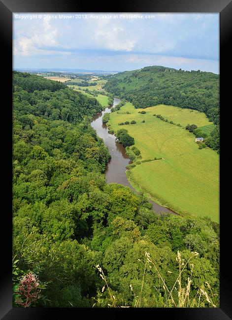 Symonds Yat Forest of Dean Gloucester. Framed Print by Diana Mower