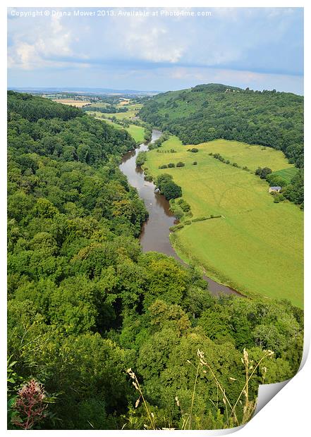 Symonds Yat Forest of Dean Gloucester. Print by Diana Mower