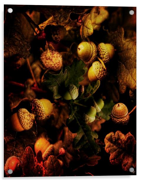 Autumn Oak Acrylic by Chris Lord