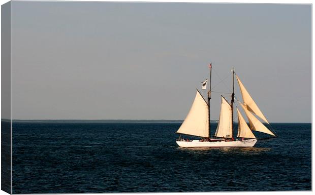 Sailing Nantucket Sound Canvas Print by Barbara Bardzik