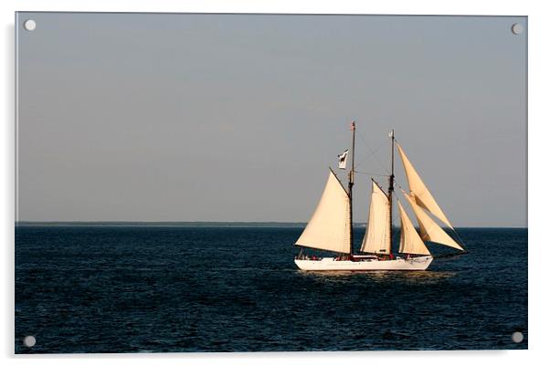 Sailing Nantucket Sound Acrylic by Barbara Bardzik