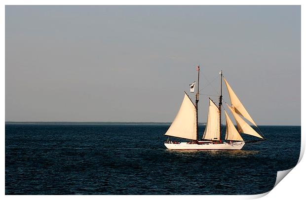 Sailing Nantucket Sound Print by Barbara Bardzik