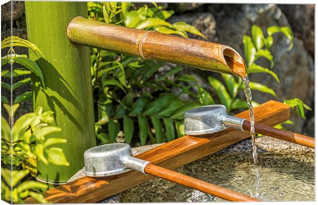 Bamboo Spout Canvas Print by Jonah Anderson Photography