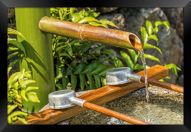 Bamboo Spout Framed Print by Jonah Anderson Photography