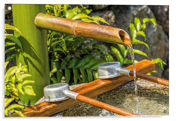 Bamboo Spout Acrylic by Jonah Anderson Photography