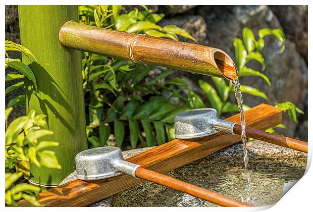 Bamboo Spout Print by Jonah Anderson Photography