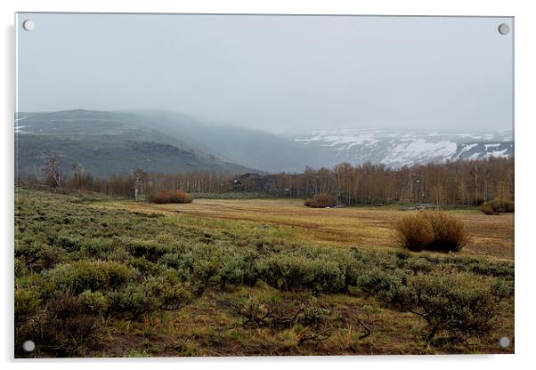 Steens Mountain Landscape - No 2A Acrylic by Belinda Greb