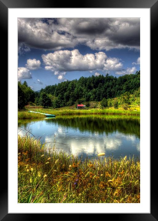A Pond Reflection Framed Mounted Print by Greg Mimbs