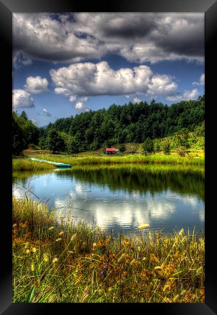 A Pond Reflection Framed Print by Greg Mimbs