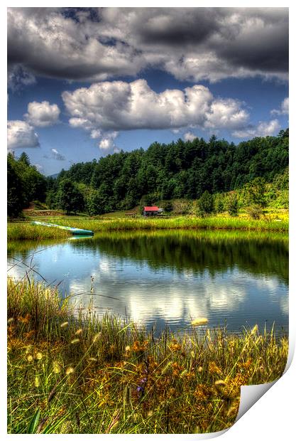 A Pond Reflection Print by Greg Mimbs