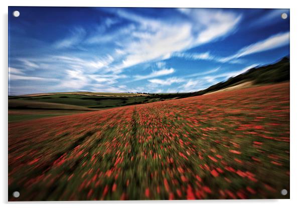 Flight Over Poppy Field Acrylic by Scott Anderson