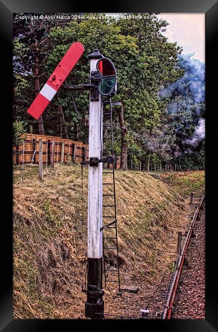 Railway Signal Framed Print by Avril Harris
