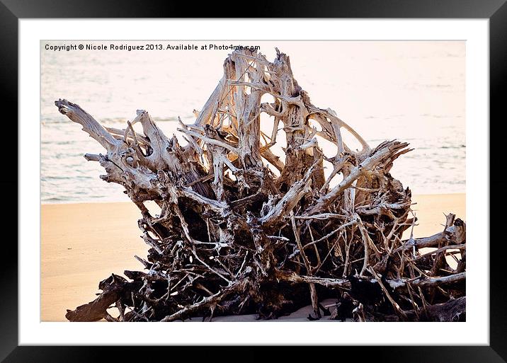Entwined Framed Mounted Print by Nicole Rodriguez