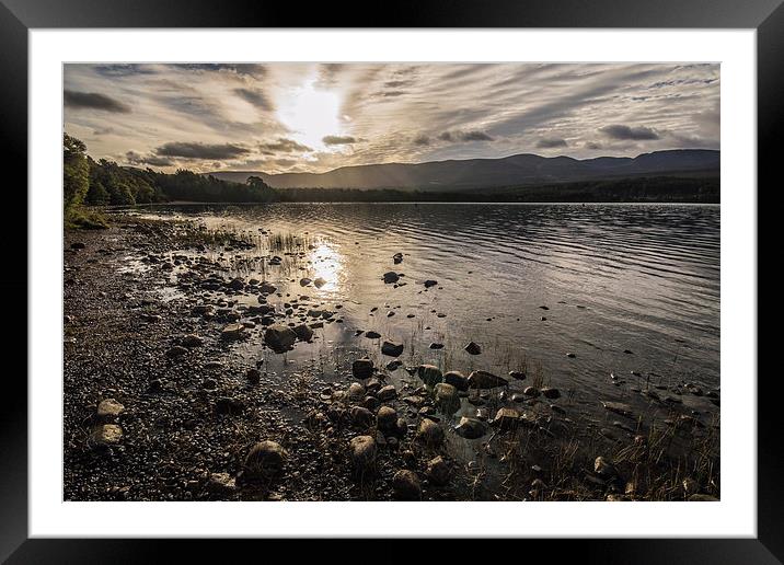 Sunrise over Loch Morlich, Cairngorms Framed Mounted Print by Phil Tinkler