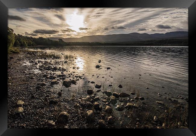Sunrise over Loch Morlich, Cairngorms Framed Print by Phil Tinkler