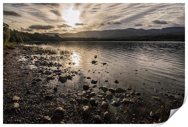 Sunrise over Loch Morlich, Cairngorms Print by Phil Tinkler