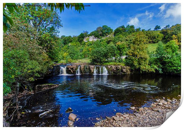 The Force at Keld. Print by Trevor Kersley RIP