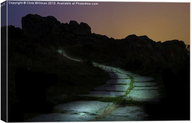 Pathway to Where Canvas Print by Chris Willman