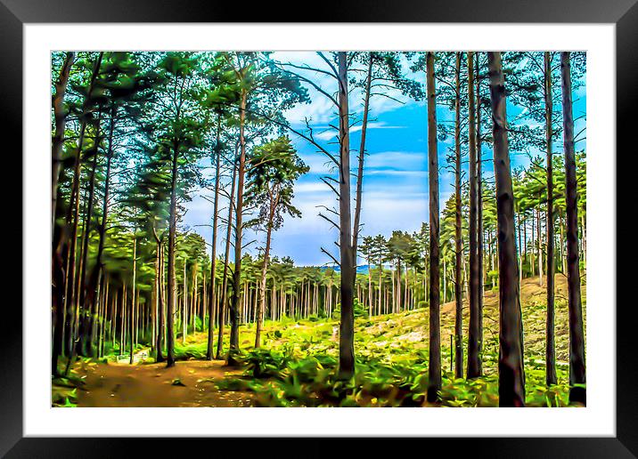 The Wood Through The Trees Framed Mounted Print by Tony Fishpool