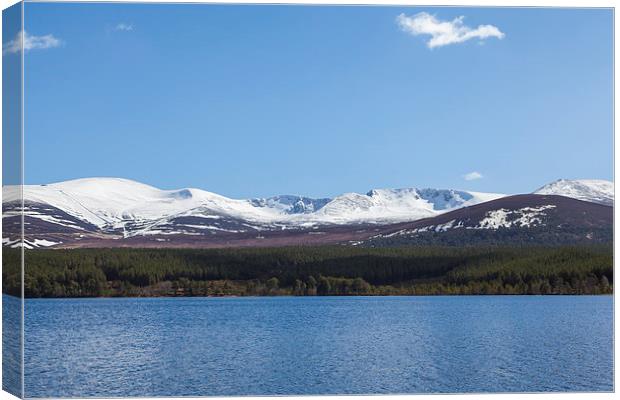 Cairngorm Canvas Print by Gary Finnigan