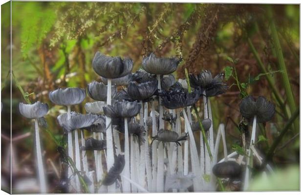 Woodland Funghi Canvas Print by Michelle Orai