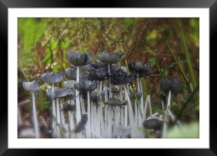 Woodland Funghi Framed Mounted Print by Michelle Orai