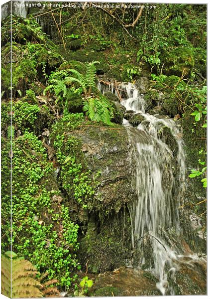 An Exmoor Waterfall Canvas Print by graham young