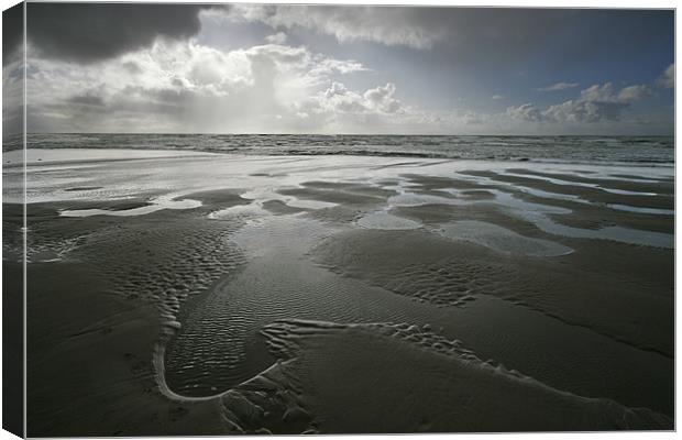BEACH PUDDLES Canvas Print by Mal Taylor Photography