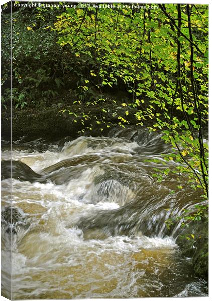 An Exmoor Stream Canvas Print by graham young