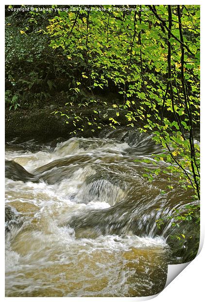 An Exmoor Stream Print by graham young