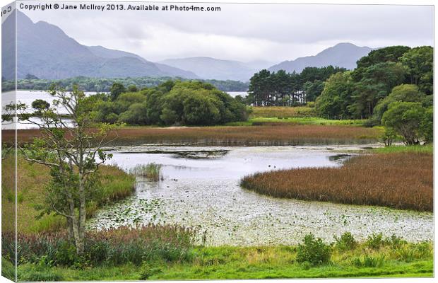 Lake Shore Killarney Ireland Canvas Print by Jane McIlroy