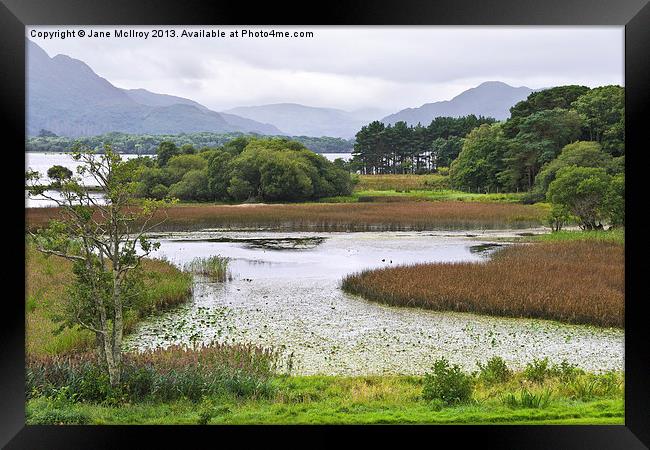 Lake Shore Killarney Ireland Framed Print by Jane McIlroy