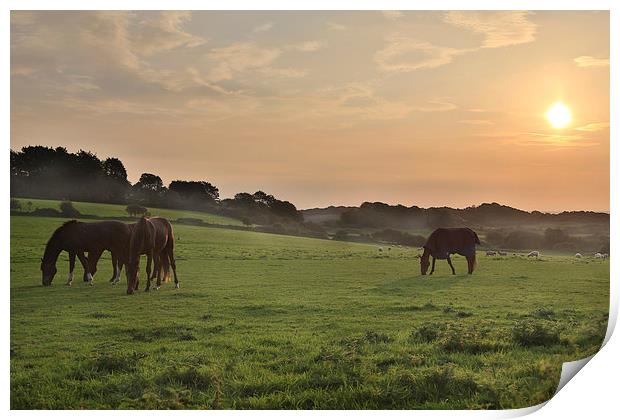 Morning Horses Print by Simon West