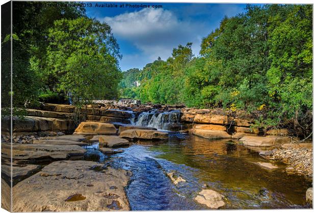 Along The River Swale Canvas Print by Trevor Kersley RIP